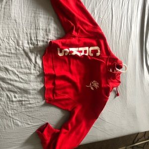 Crooks & Castles Crop Hoodie